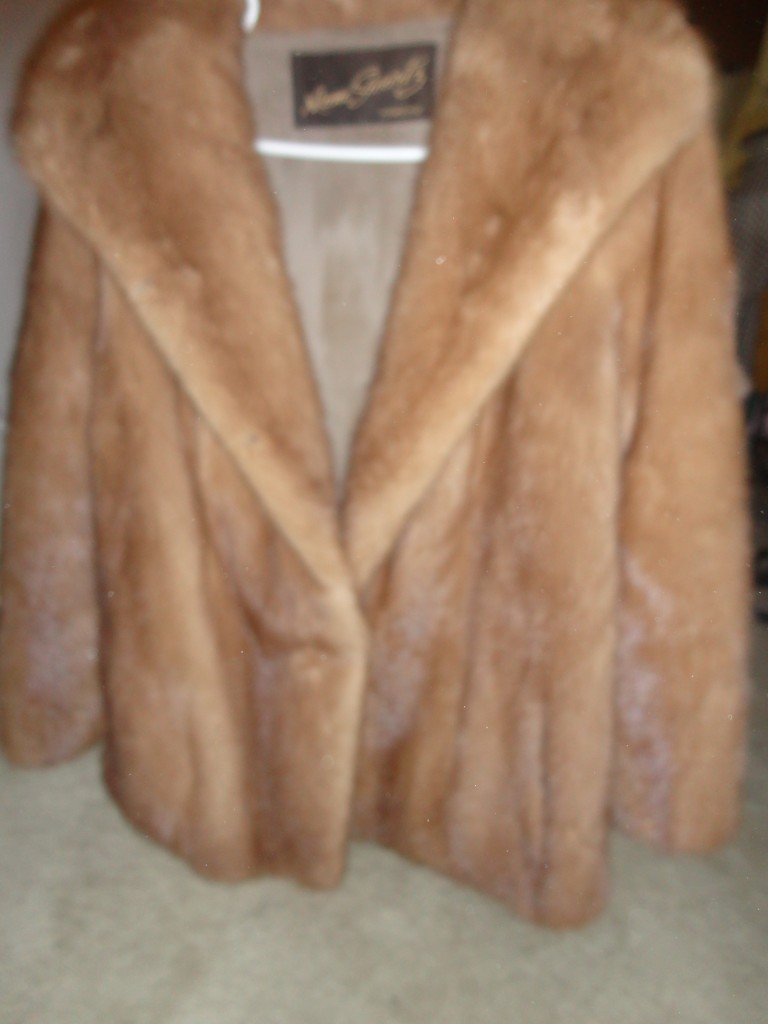 DSC03550